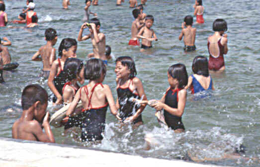 pool9808-002.JPG (49070 バイト)